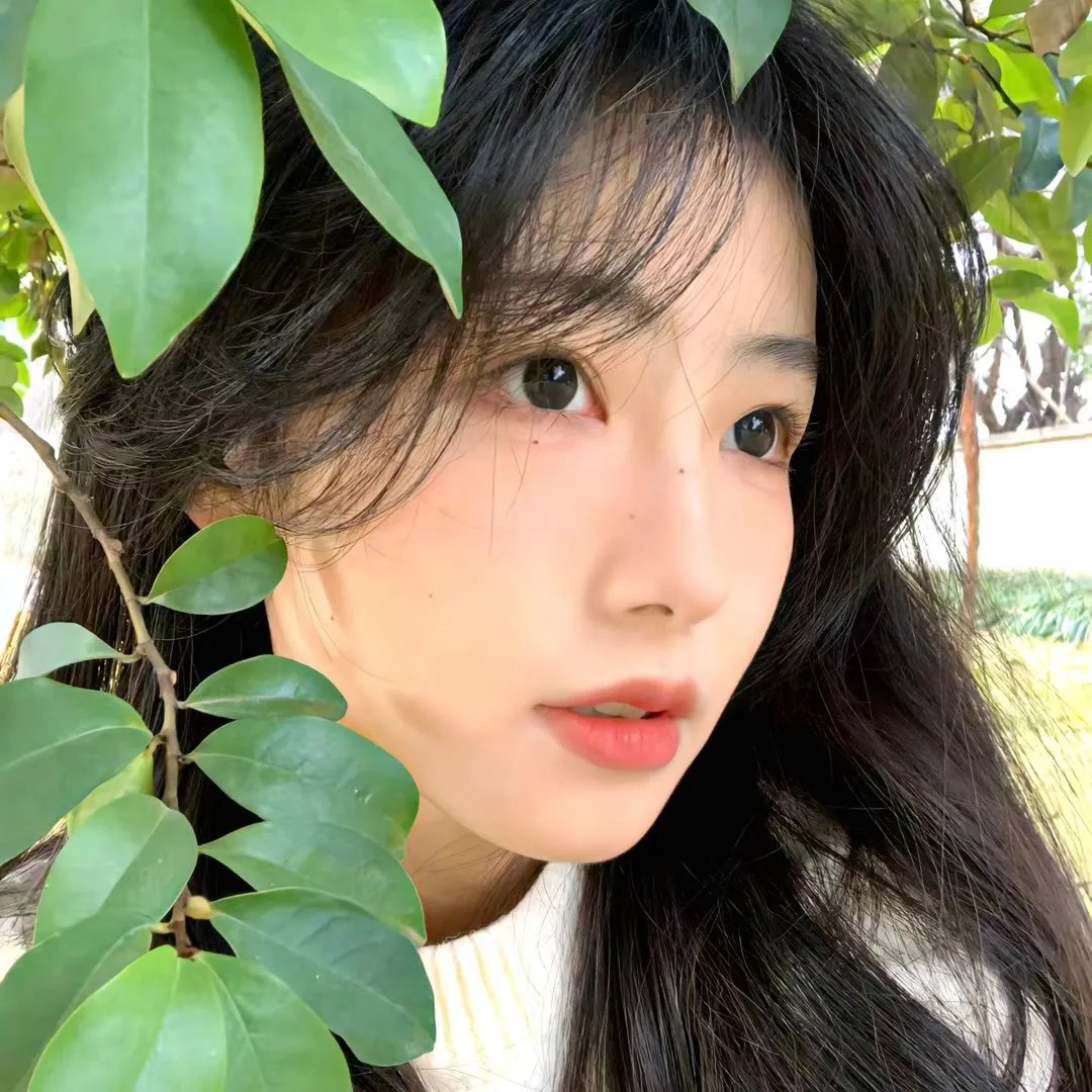 异星契约